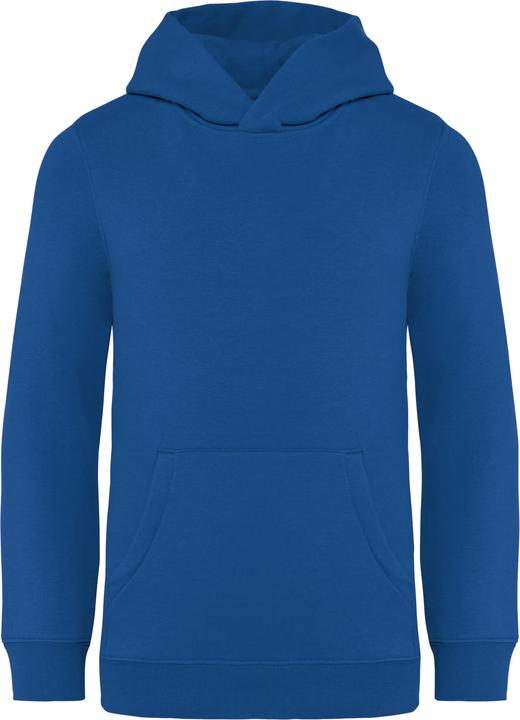Image du produit Native Spirit Sweatshirt à capuche écoresponsable enfant