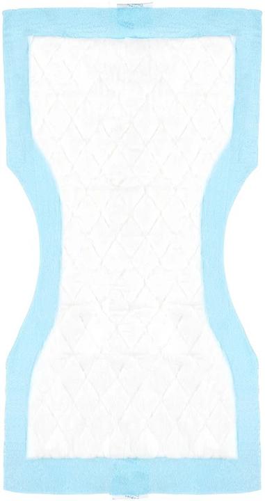 Image du produit Canpol Postpartum Pads (1 x)