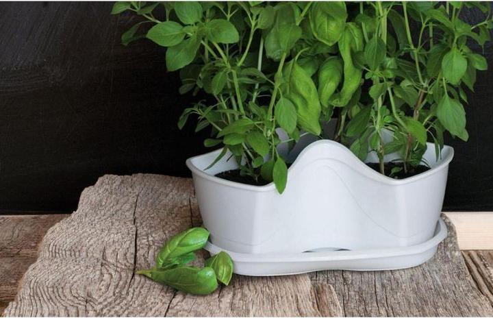 Actual product image Prosperplast Triple Pot for Herbs Coubi Herbal Anthracite