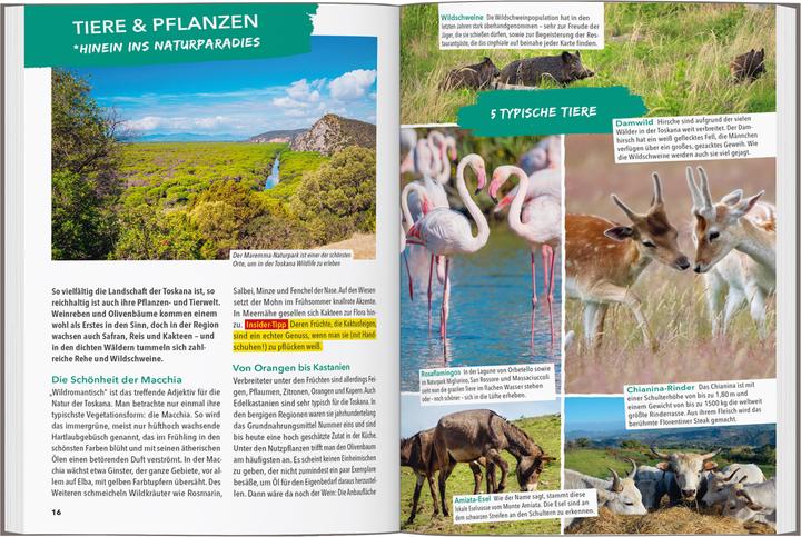 Image du produit OUTDOOR GUIDE Reiseführer Toskana (Allemand, Chapeau Maximilian Flesch, 2025)