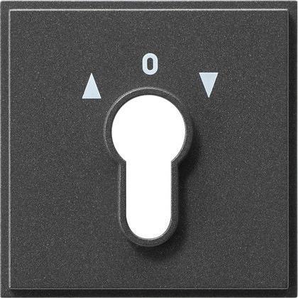 Actual product image Gira Cover for key switch/button 066467