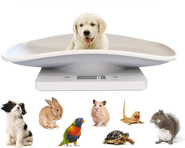Actual product image Extralink Home Waga Dla Zwierząt 10kg Nt1