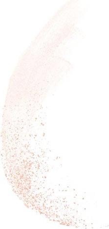 Produktbild Bourjois Java Rice Powder (Translucent)