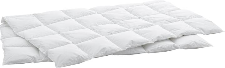 Actual product image Swiss Dream by billerbeck CLC 90 Cassette Medium (650 g, 160 x 210 cm)