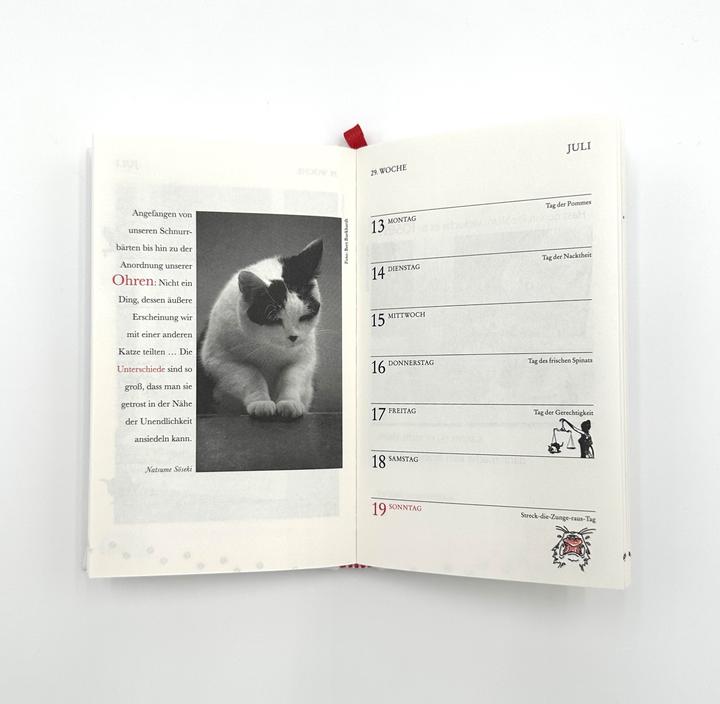 Produktbild Katzen Taschenkalender 2026 (1 Woche / 1 Seite)