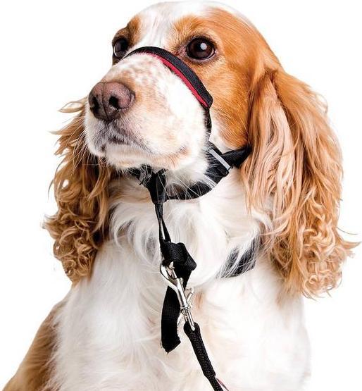 Immagine prodotto Company of Animals Halti Optifit Kopfgeschirr (S, Cane, Passeggiare)