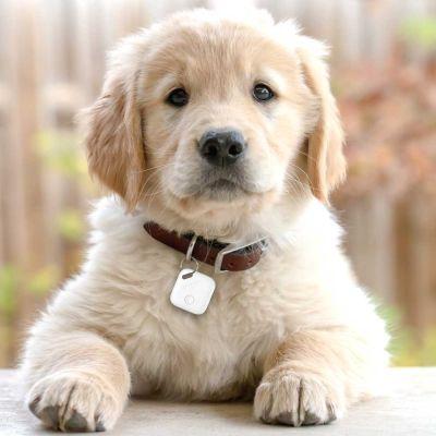 Produktbild Wynn Electronics iTag eckig (4er Pack) (iOS)