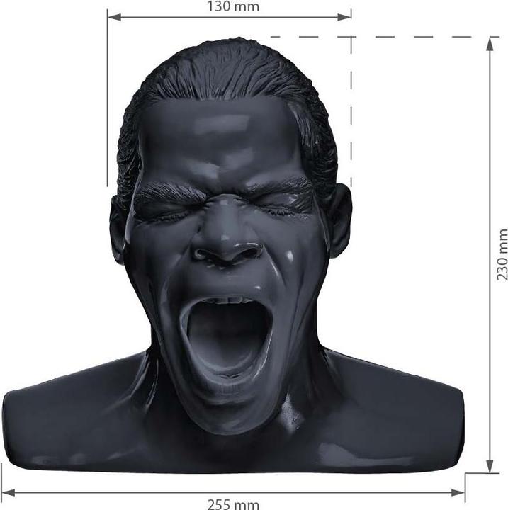 Image du produit Oehlbach Support pour écouteurs XXL