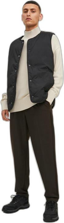 Produktbild Jack & Jones Bill Capri Hose (27)