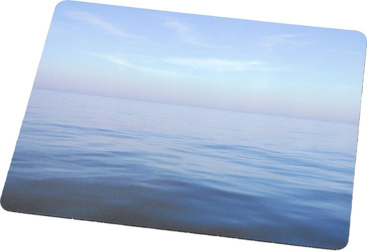 Actual product image Fellowes Ocean (S)