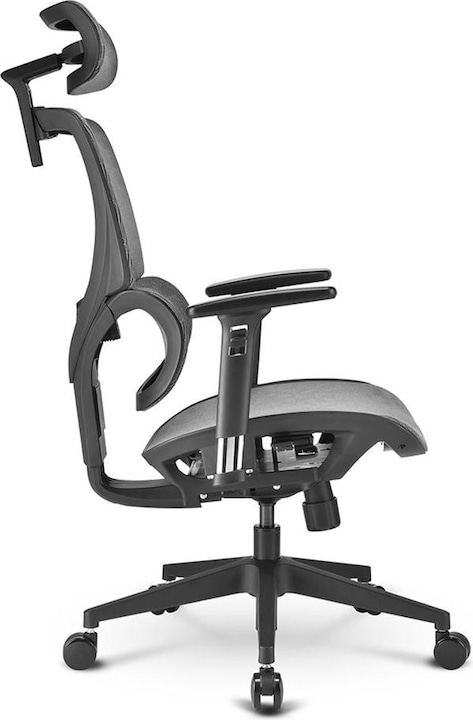 Actual product image Sharkoon OfficePal C30M office chair (grey)
