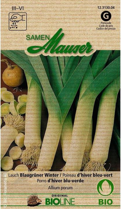 Samen Mauser Knospe Bio Lauch Blaugrüner Winter (Blumenzwiebeln)