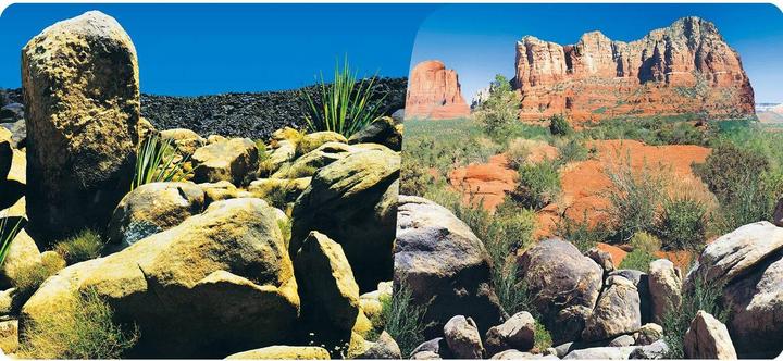 Reptiles-Planet Desert Terrarium