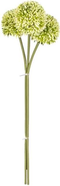 Produktbild DPI Allium - ca. 46 cm - grün (46 cm)