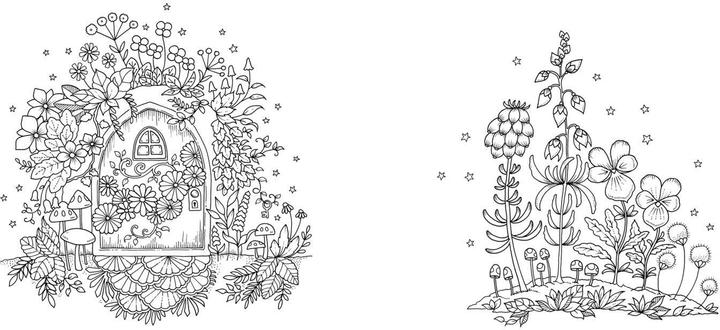 Produktbild Wundervolle Wildblumen