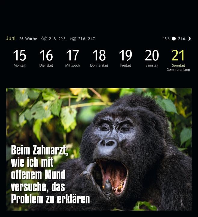 Actual product image Harenberg Animal Memes Postkartenkalender 2026 - 53 tierisch witzige Postkarten (Hardcover, English, German)