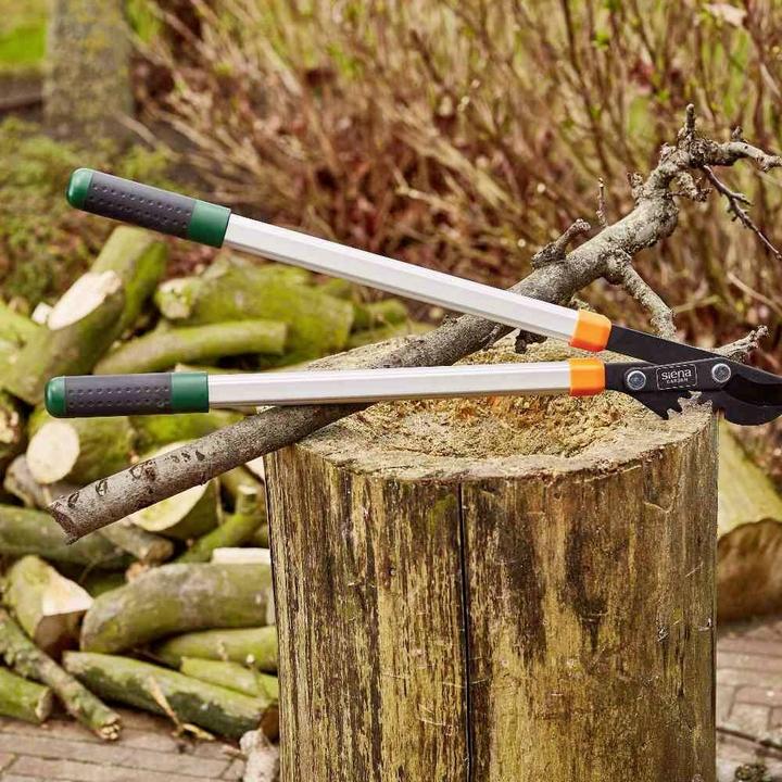 Actual product image Siena Garden Pruning shears