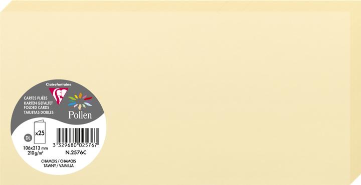 Clairefontaine Double card (DIN long) - buy at Digitec