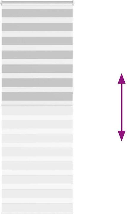 Produktbild vidaXL Zebra-Jalousie (70 x 230 cm)