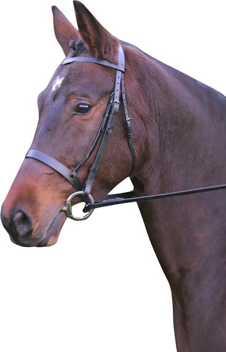 Produktbild Hy Zaumzeug Hunter Leder