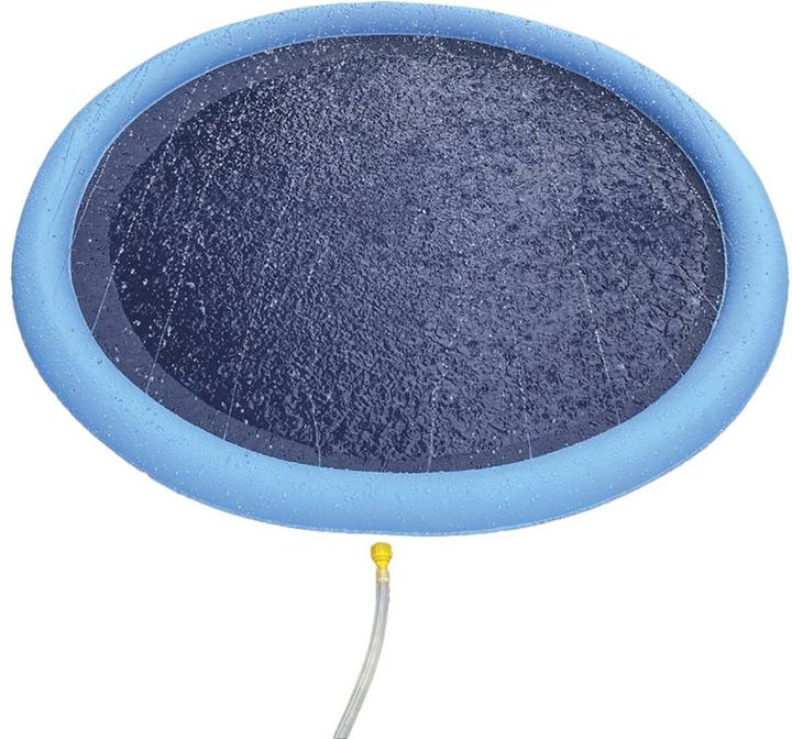 Actual product image Nobby Splash (Dog pool)