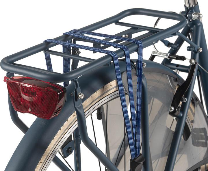 Image du produit Hollandia Hollandrad 28" Moves 6 Gänge RH 50 cm (50 cm)