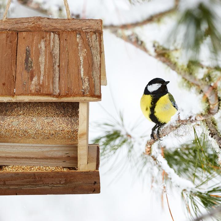Produktbild Relaxdays Vogelfutterhaus