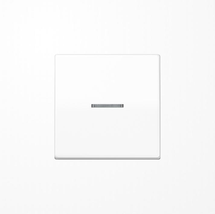 Actual product image JUNG HOME Push-button 1gang BTAS17101WW