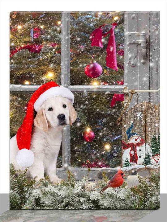 Immagine prodotto GuGus Cane alla finestra (40 x 2 x 30 cm)