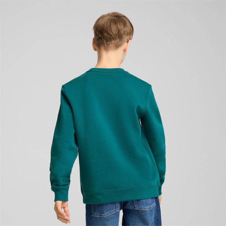 Actual product image Puma SQUAD Crew FL B (140)