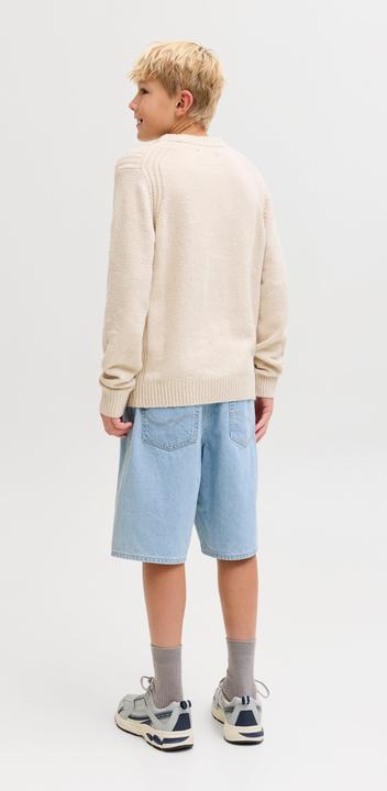 Produktbild Jack & Jones Junior Hose ALEX Shorts (140)