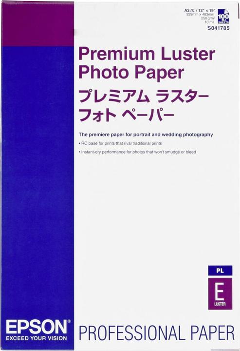 Energie-Label Epson Premium Luster Photo Paper (250 g/m², A3+, 100 Stk.)