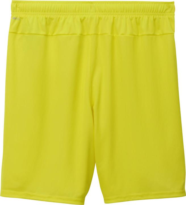 Puma teamGOAL Short Jr