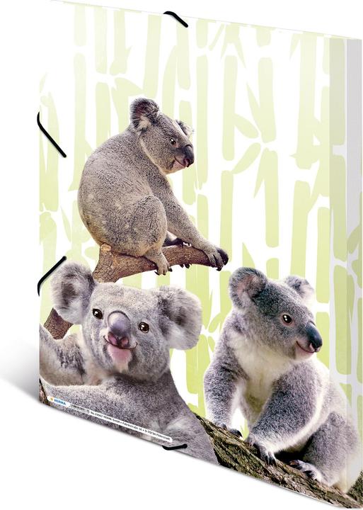 Productafbeelding HERMA A3 motief map (A3, 1x)