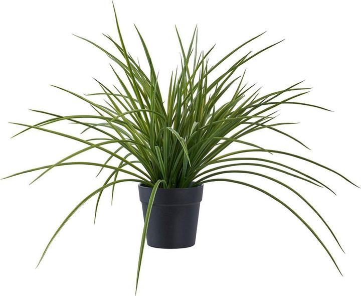 House Nordic Grass (45 cm)