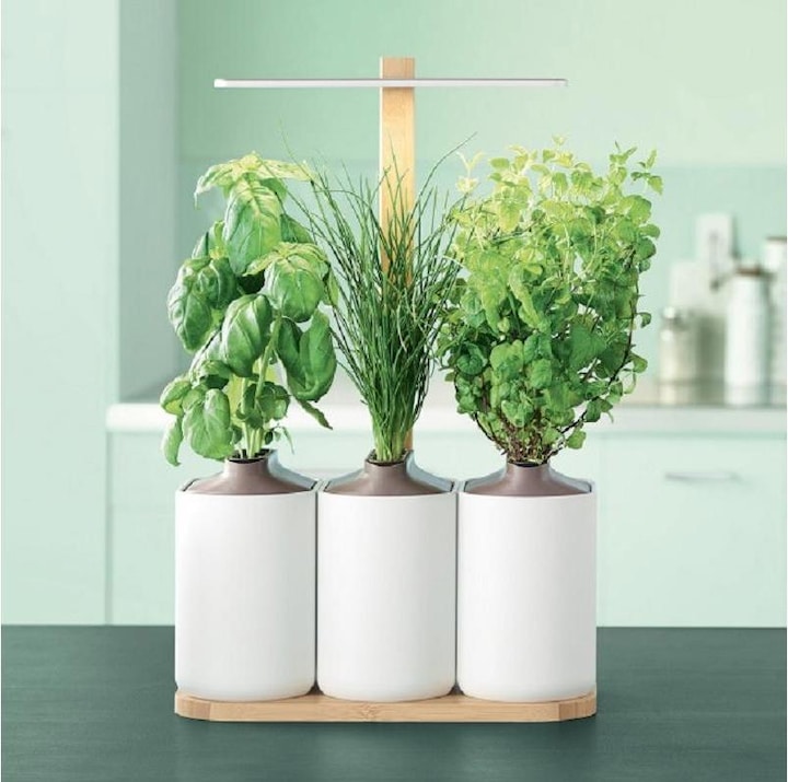 Produktbild Prêt à Pousser Lilo
