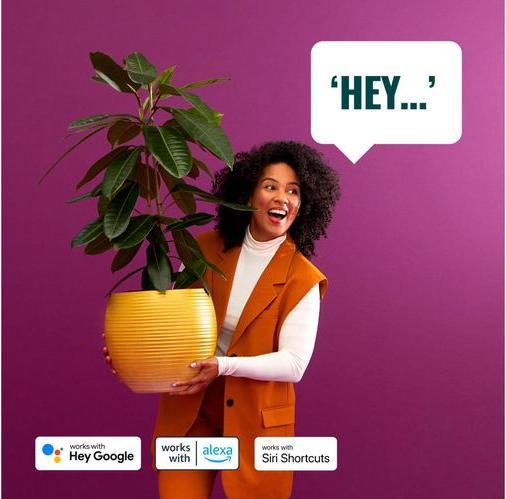 Actual product image WiZ Tunable White & Colour (GU10, 345 lm, 2 x)