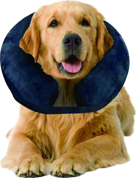 Pawise Inflatable Protective Collar M (Cat, Dog)