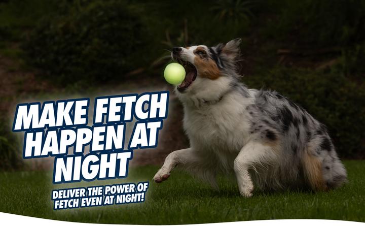 Immagine prodotto Chuckit! CHUCKIT MAX GLOW palla da recupero luminosa 7 6 cm di diametro taglia L bianco (Cucciolata di cane giocattolo)