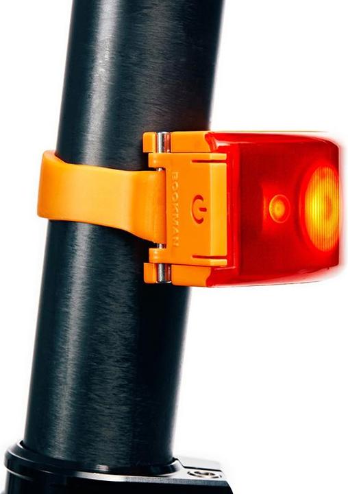 Image du produit Bookman Curve (37 lm, 37 lm)