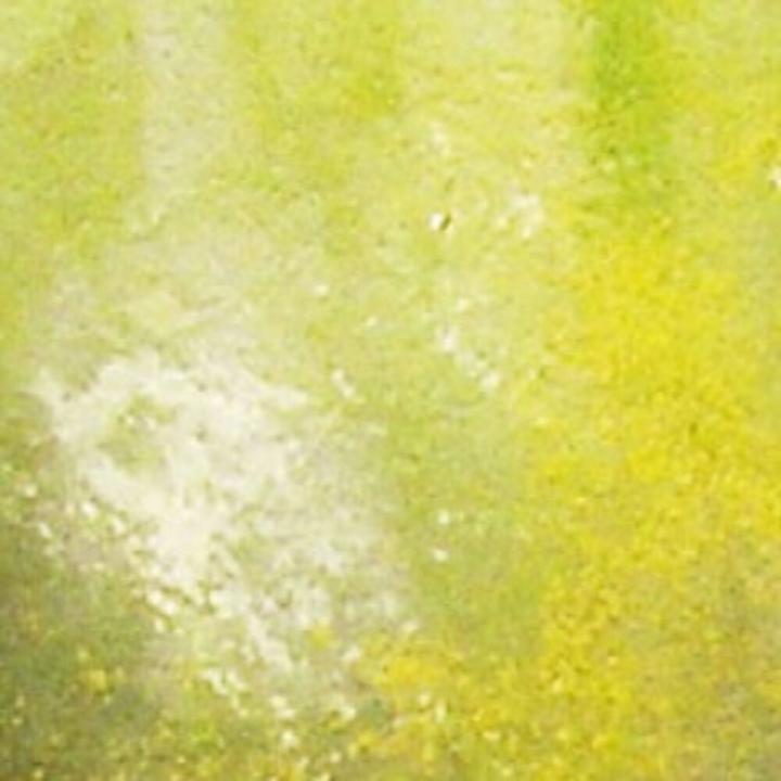 Produktbild Vallejo Weathering Effects