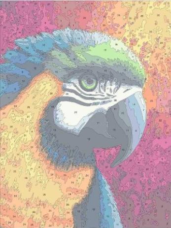 Produktbild Craft Buddy Malen nach Zahlen Bild-Set 30x40cm Paradise Rachel Froud