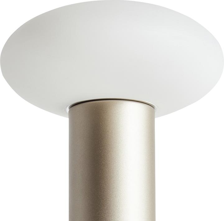 Image du produit Beliani Buayan (100 lm)