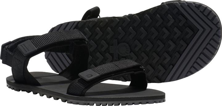 Actual product image Xero Shoes D-Trail (39.5)