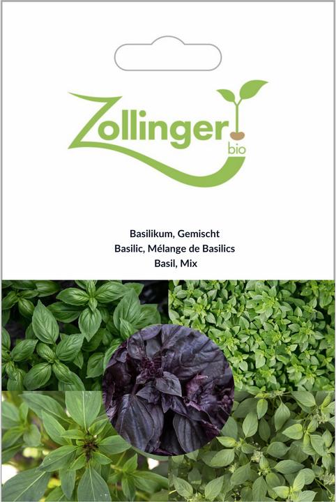 Image du produit Zollinger Bio Basilikum, Gemischt (Graines de plantes)