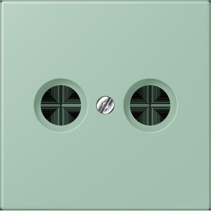 Actual product image JUNG Cover