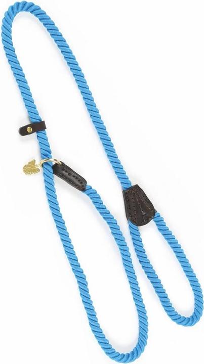 Actual product image Digby & Fox Rope Leather Dog Slip Lead (One size, Dog, Dog sport)