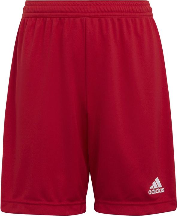 Actual product image adidas Entrada 22 Shorts (152)