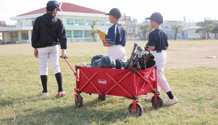 Actual product image Coleman Ladder trolley