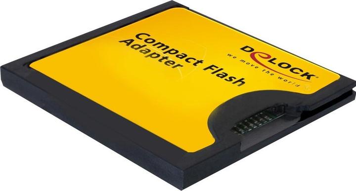 Delock Compact Flash Adapter